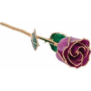 The Mindy Rose - Lacquered Amethyst Colored Rose with Gold Trim