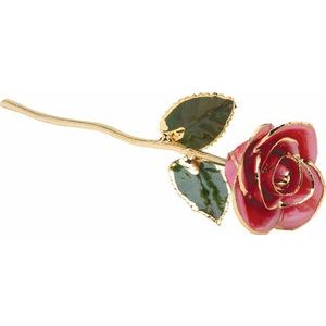 The Mindy Rose - Lacquered Pink Rose with Gold Trim