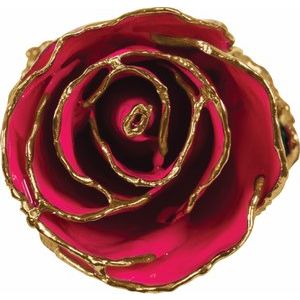 The Mindy Rose - Lacquered Magenta Rose with Gold Trim