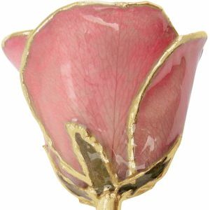 The Mindy Rose - Lacquered Pink Rose with Gold Trim