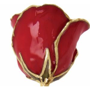 The Mindy Rose - Lacquered Red Rose with Gold Trim