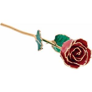 The Mindy Rose - Lacquered Ruby Colored Rose with Gold Trim