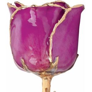 The Mindy Rose - Lacquered Amethyst Colored Rose with Gold Trim