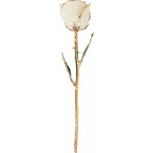 The Mindy Rose - Lacquered White Rose with Gold Trim