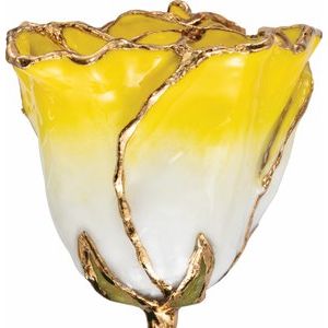 The Mindy Rose -Lacquered Cream Yellow Rose with Gold Trim