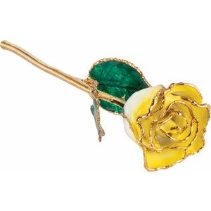 The Mindy Rose -Lacquered Cream Yellow Rose with Gold Trim